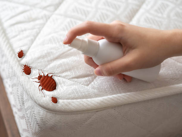 Best Emergency Pest Control  in Wellington, FL